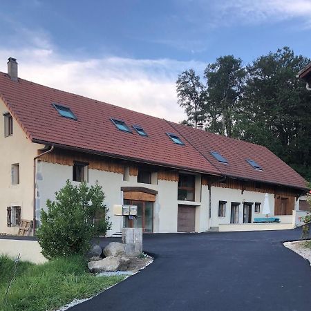 Апартаменты T4 Meuble De 105M2 Axe Annecy-Geneve Saint-Martin-Bellevue Экстерьер фото