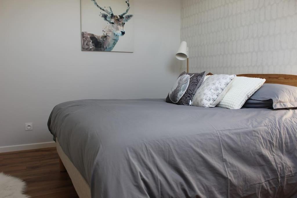 Апартаменты T4 Meuble De 105M2 Axe Annecy-Geneve Saint-Martin-Bellevue Экстерьер фото