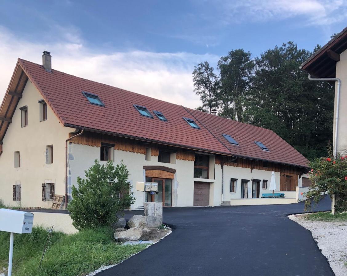 Апартаменты T4 Meuble De 105M2 Axe Annecy-Geneve Saint-Martin-Bellevue Экстерьер фото